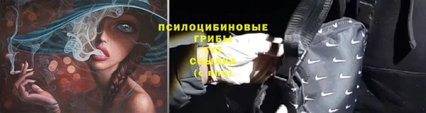 меф Медногорск