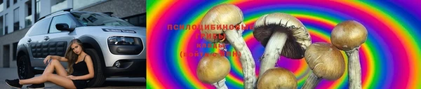 меф Медногорск